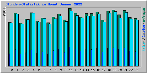 Stunden-Statistik im Monat Januar 2022