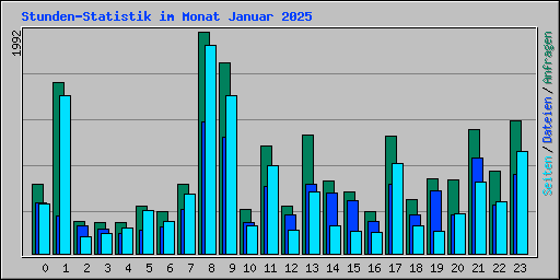 Stunden-Statistik im Monat Januar 2025