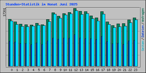 Stunden-Statistik im Monat Juni 2025