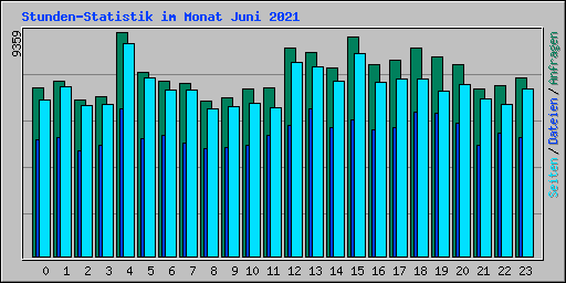 Stunden-Statistik im Monat Juni 2021