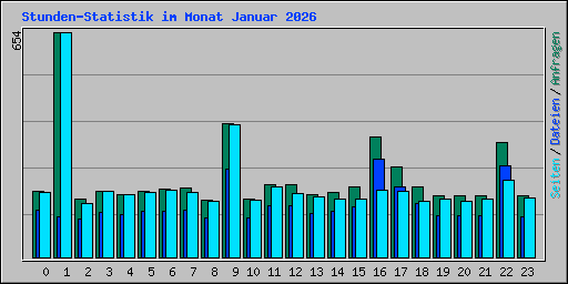 Stunden-Statistik im Monat Januar 2026