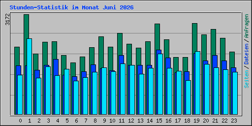 Stunden-Statistik im Monat Juni 2026